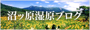 沼ッ原湿原ブログ