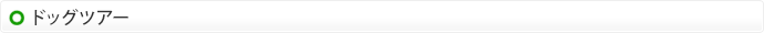 ドッグツアー